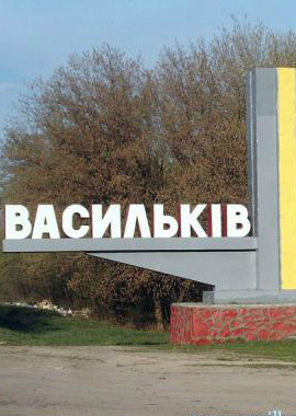 тротуарная плитка васильков